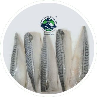 frozen seafood