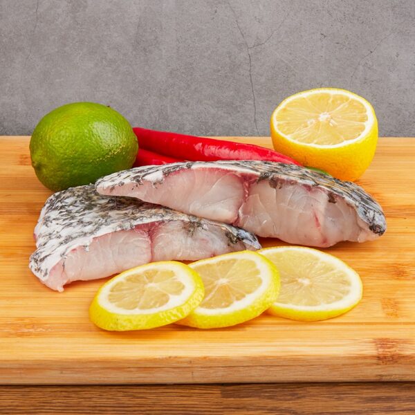 barramundi